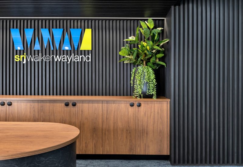 SRJ-Business Advisors